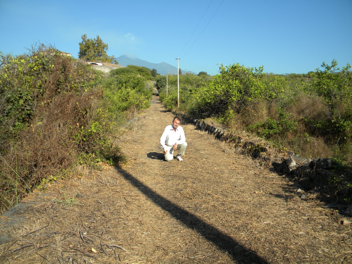 DSCN8135 .JPG